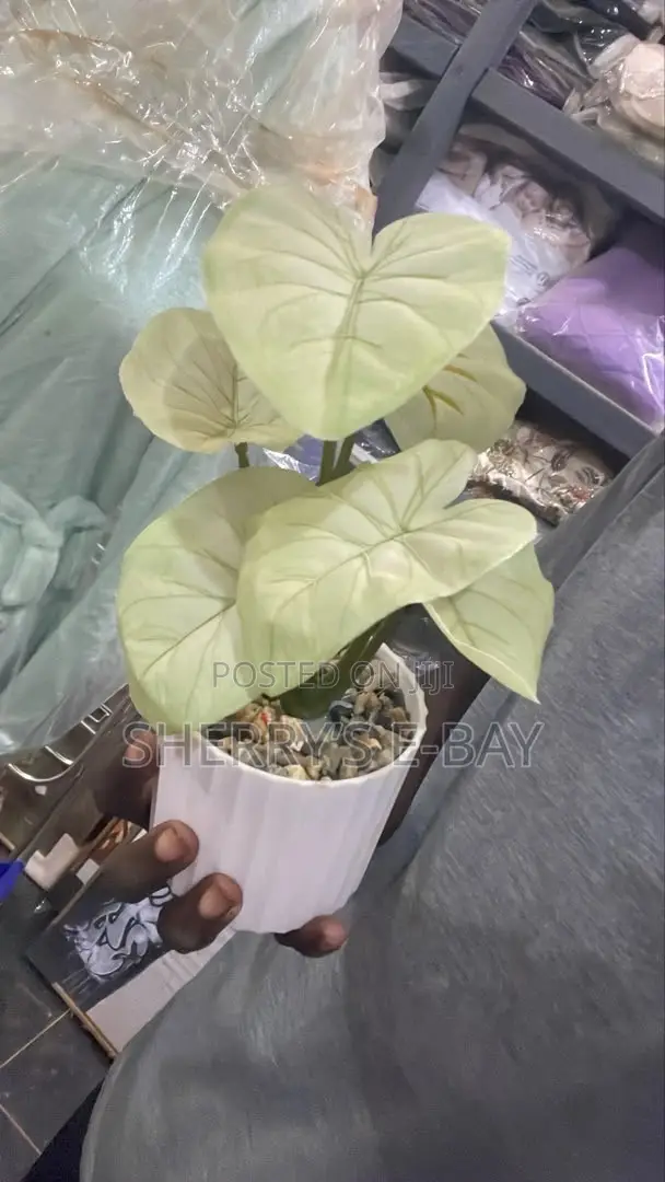 Artificial Plants