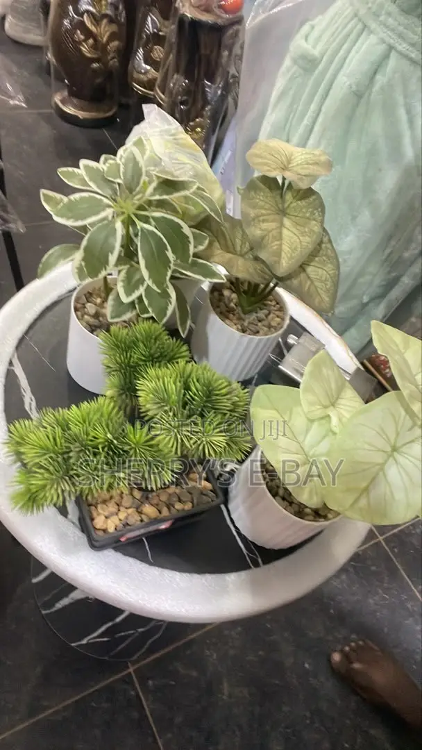 Artificial Plants