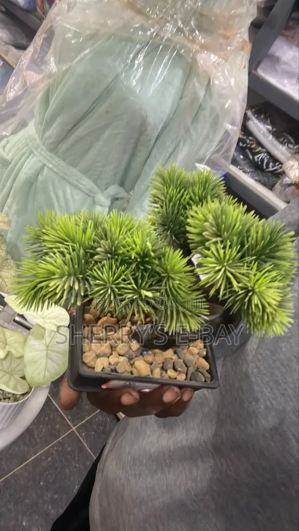 Artificial Plants