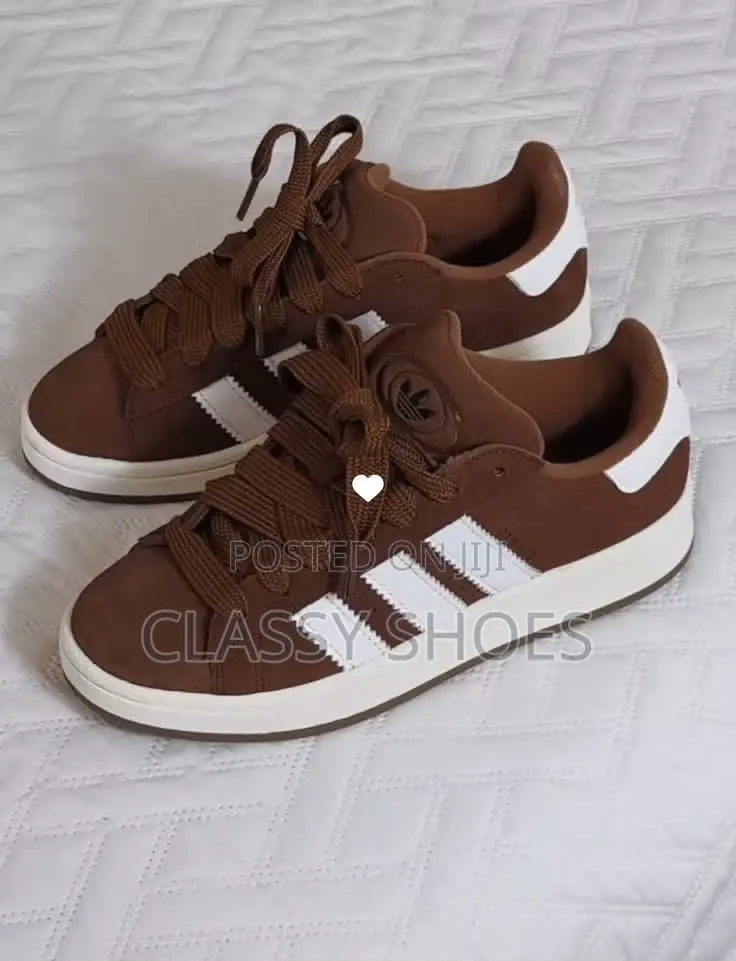 Adidas Campus Brown and White Available