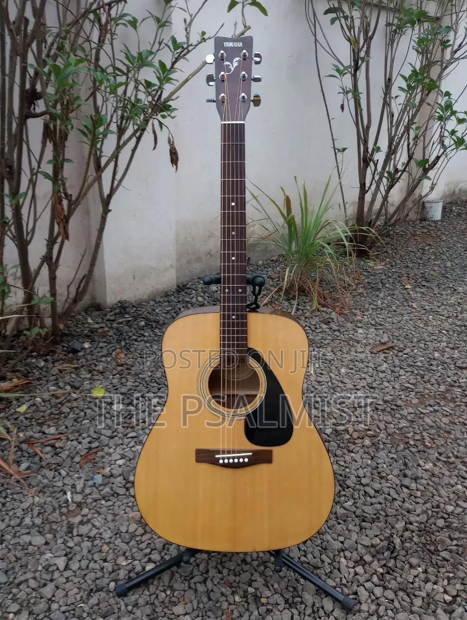 Yamaha F310 Acoustic Guitar With Padded Bag