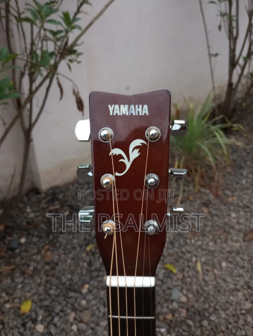 Yamaha F310 Acoustic Guitar With Padded Bag