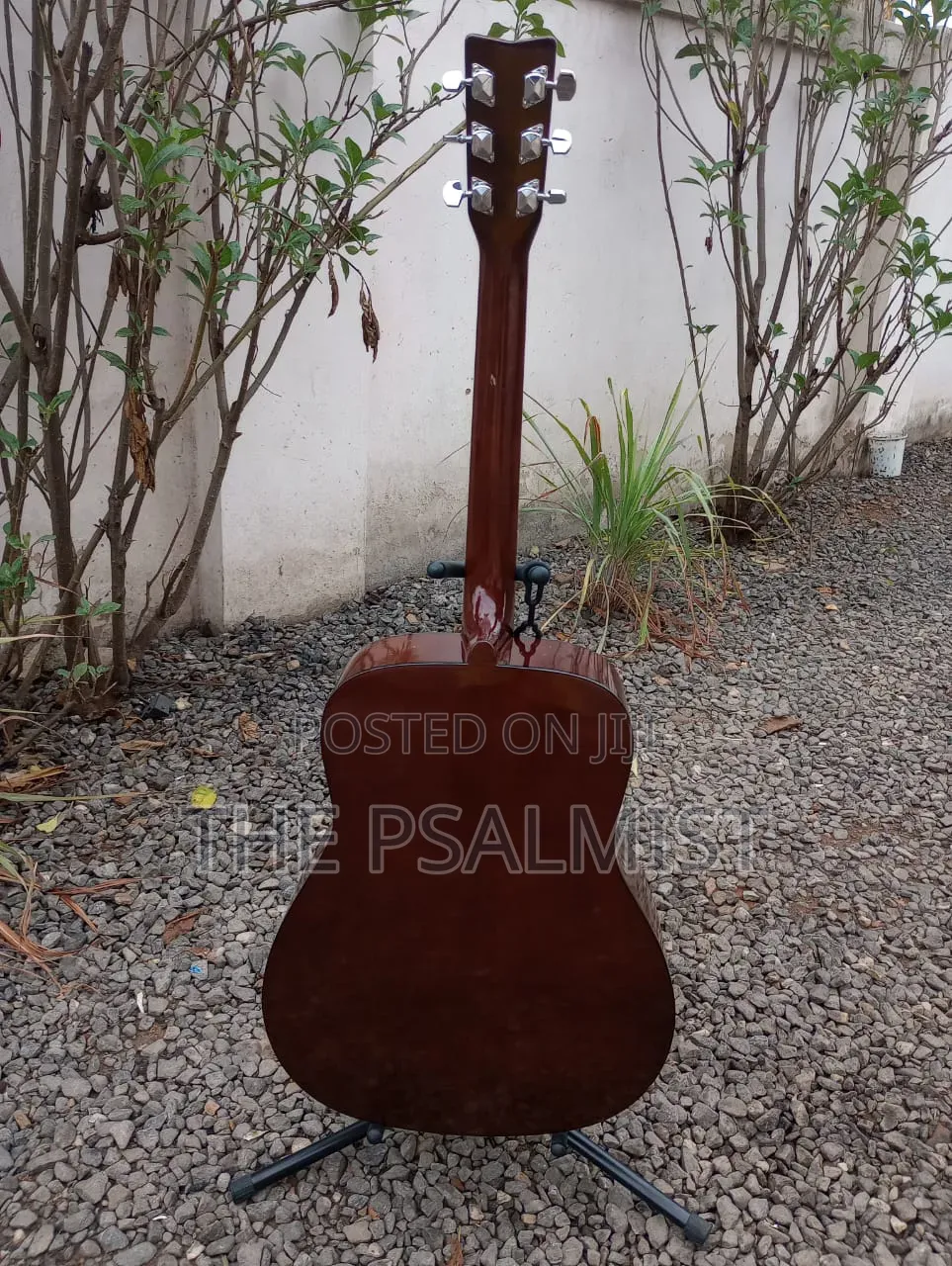 Yamaha F310 Acoustic Guitar With Padded Bag