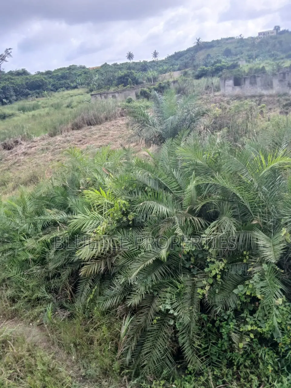 A Plot of Land for Sale