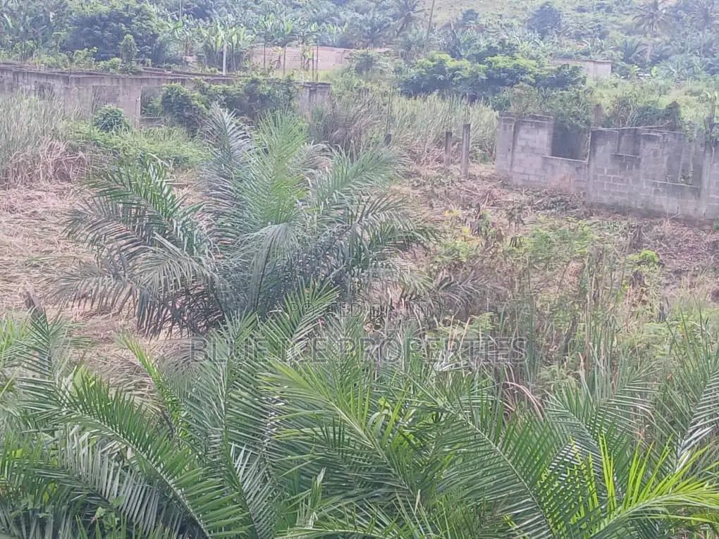 A Plot of Land for Sale