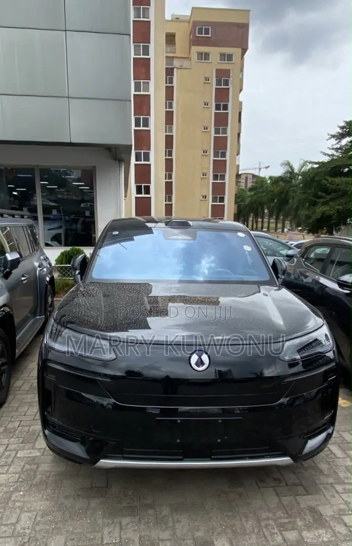 New Denza N9 2.0 Hybrid AWD 2025 Black