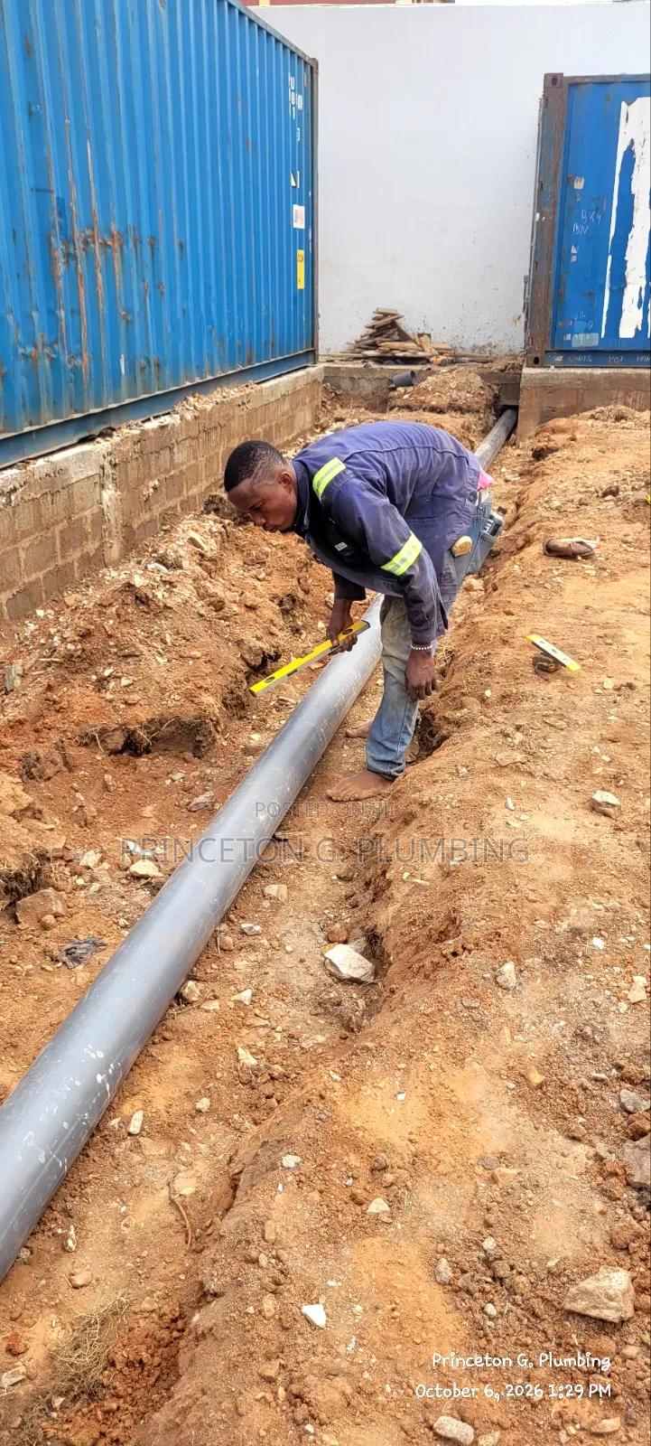 Professional Plumber