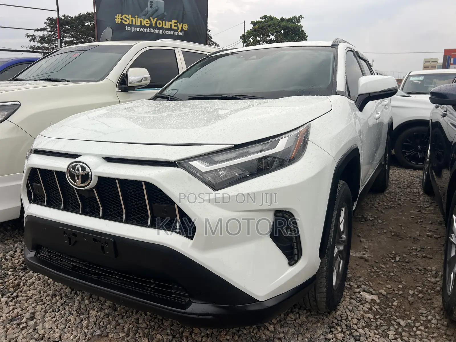 Toyota RAV4 XLE AWD 2024 White