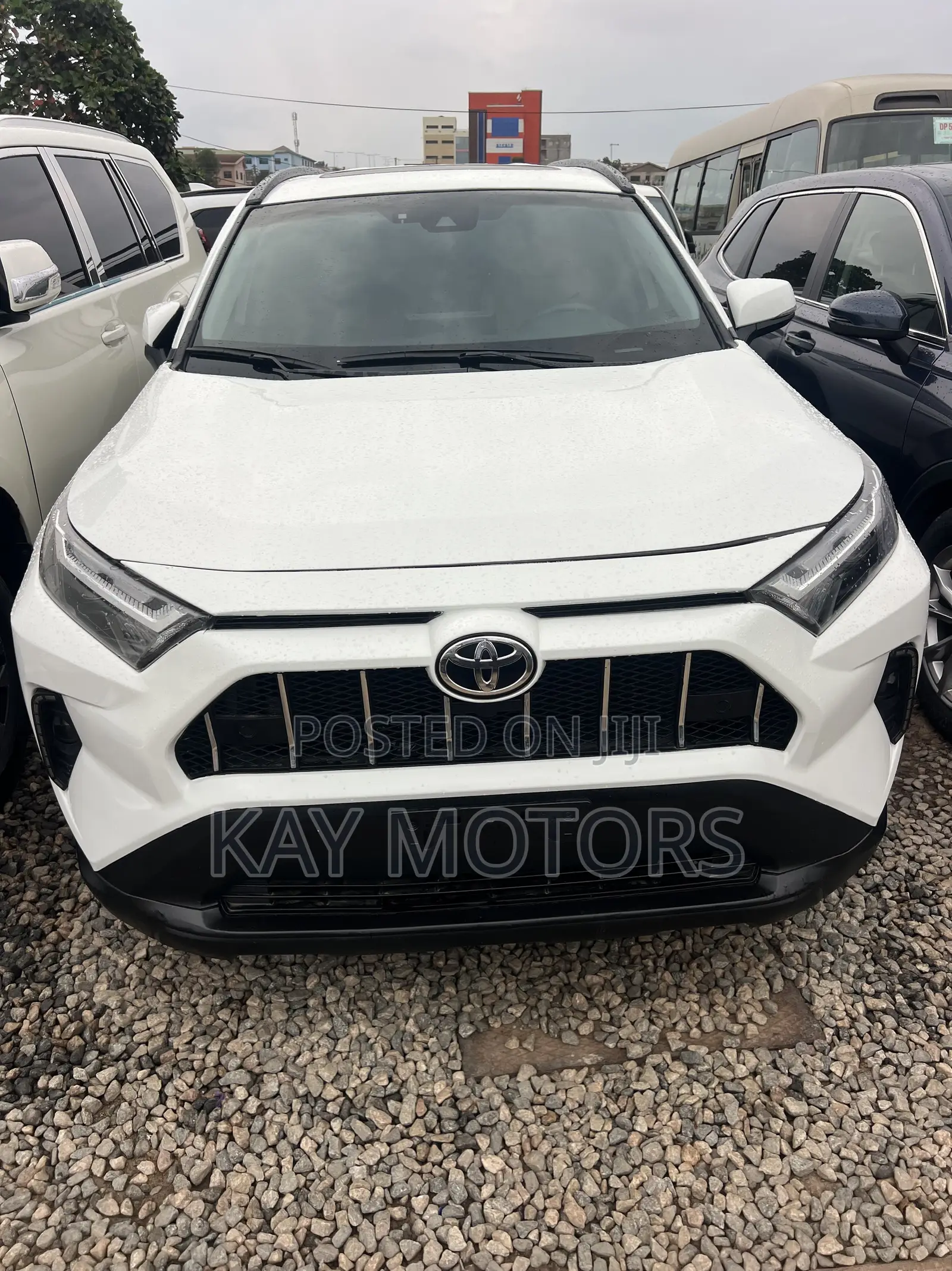 Toyota RAV4 XLE AWD 2024 White