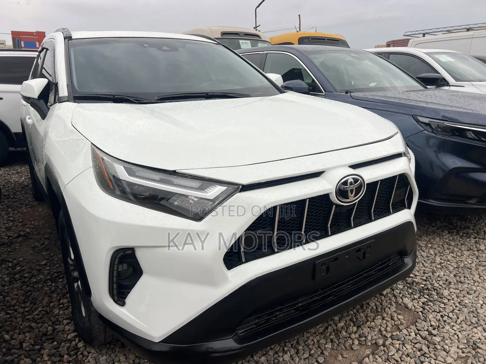 Toyota RAV4 XLE AWD 2024 White