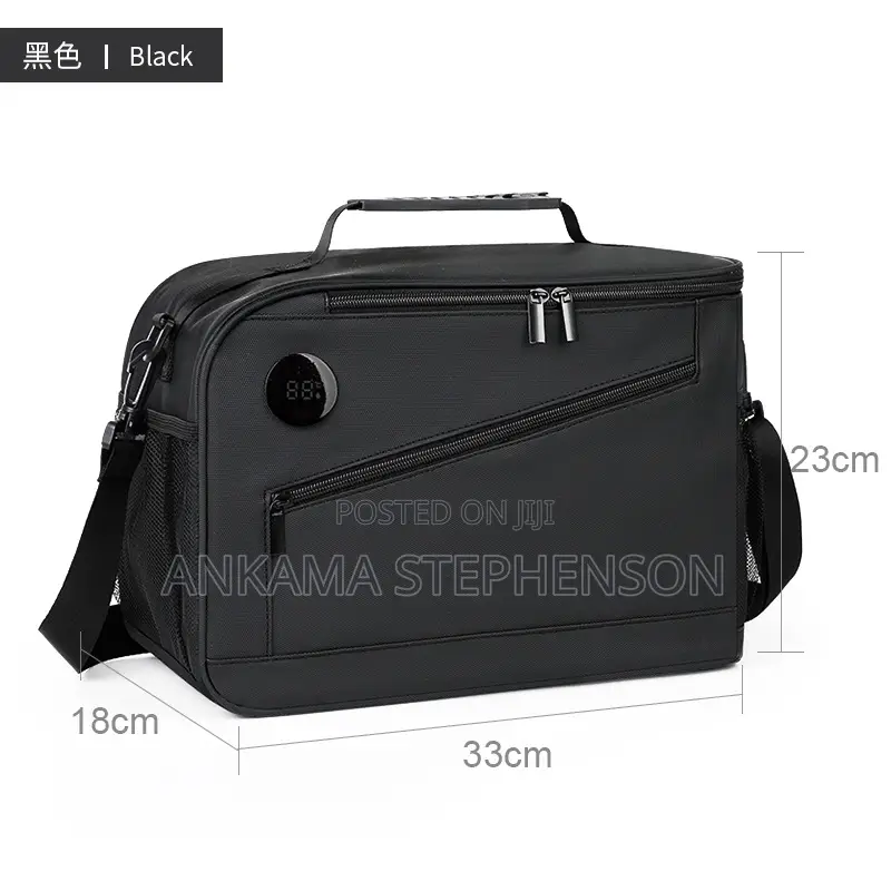 Lunch Bag (Large Size)