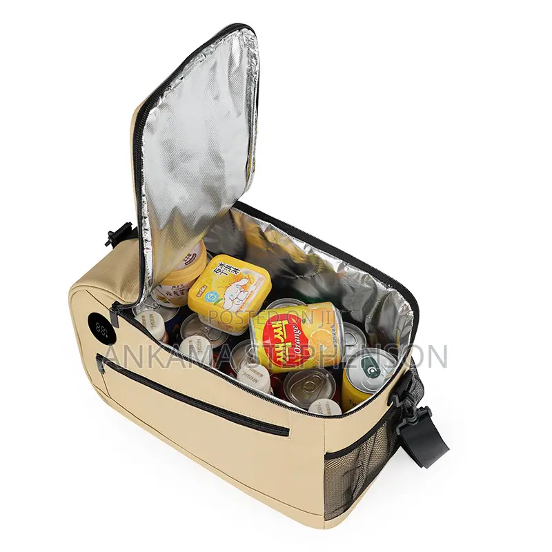 Lunch Bag (Large Size)