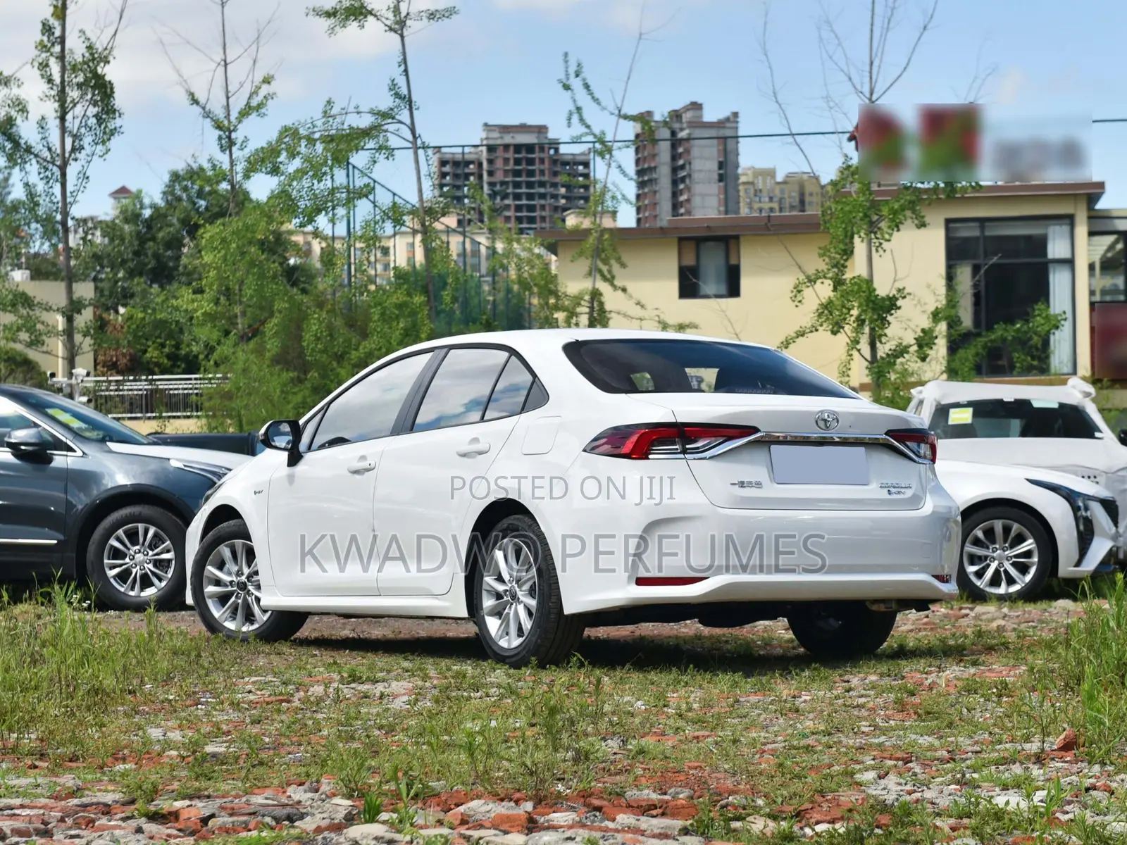 Toyota Corolla Hybrid 2024 White