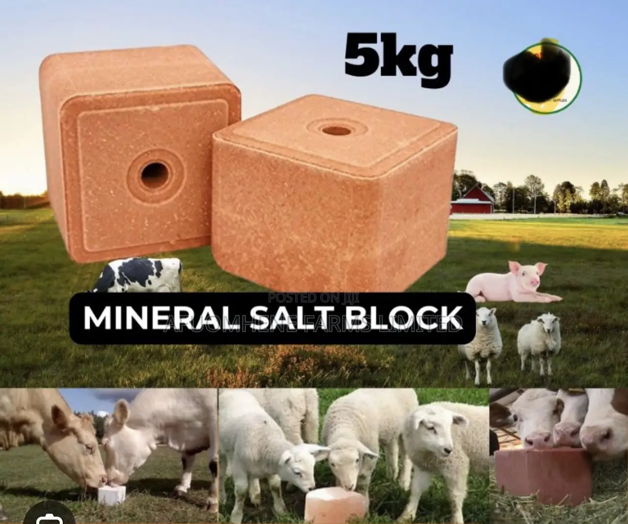 Mineral Salt Lick/Copper Block/Molasses Block for Livestock