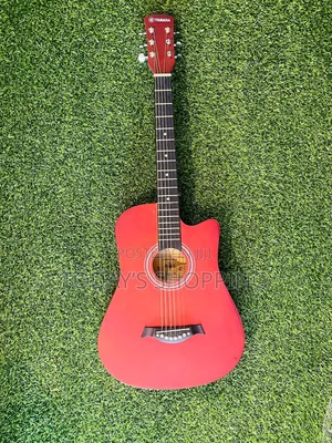 Acoustic Guitar