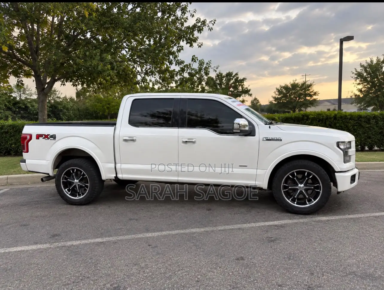 Ford F-150 Platinum 4x4 SuperCrew Cab Styleside 6.5 ft. box 157 in. WB