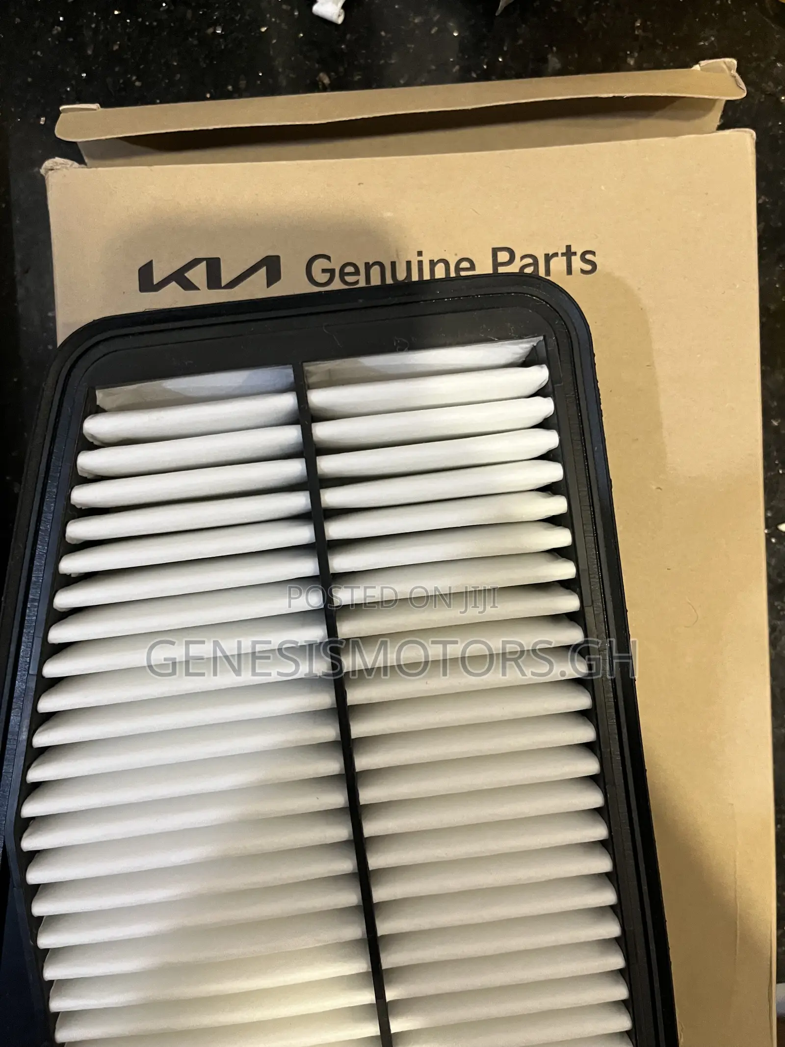 Kia Stinger Oem Engine Filters LH-RH