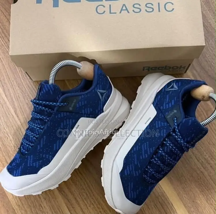Reebok DMX Trail Gore-Tex
