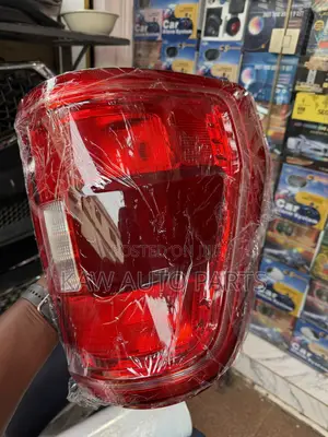 2021,2022,2023 Taillights for Ford F150