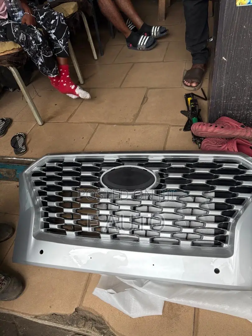 Hyundai Palisade 2018,2019,2020,2021,2022 Front Grill (Shells)