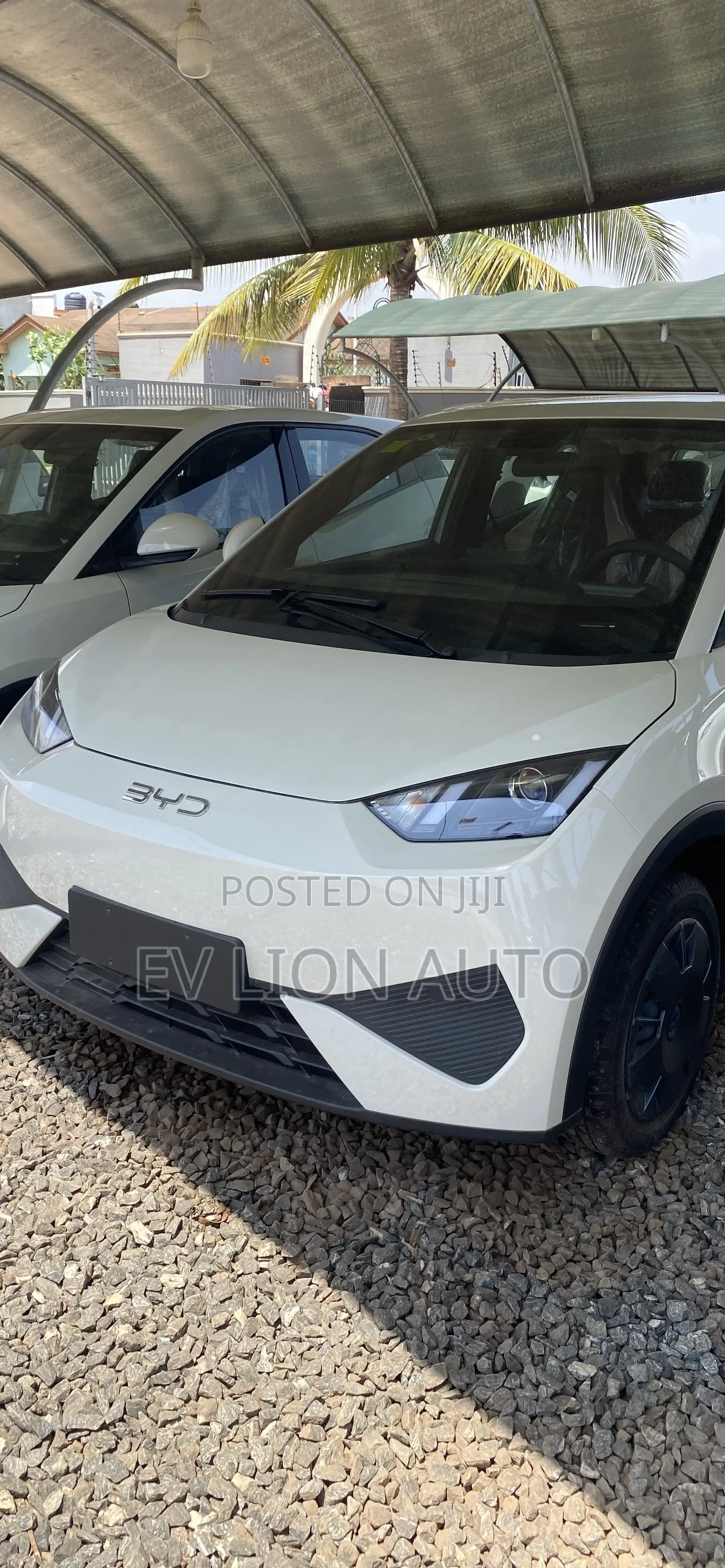New BYD Seagull 2025 White
