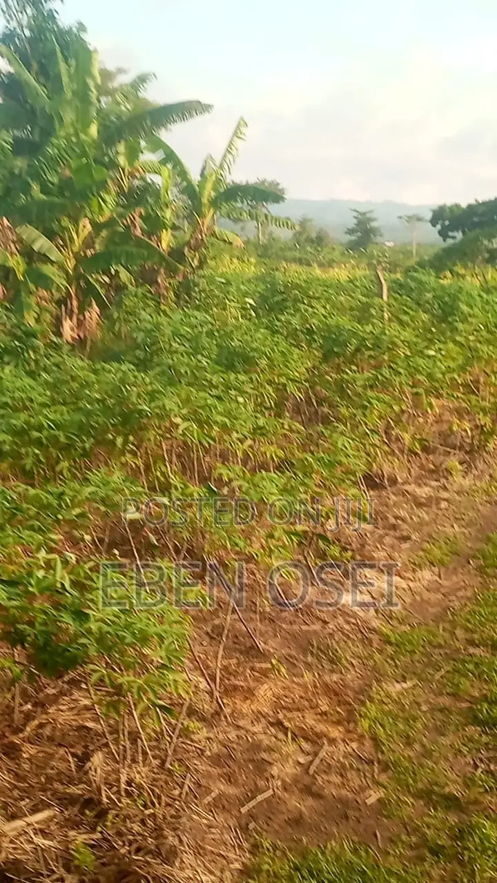 Land for Sale at Adeiso Right Behind Kasapreko Factory