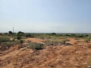 Your Opportunity to Own a Full Plot at City of David