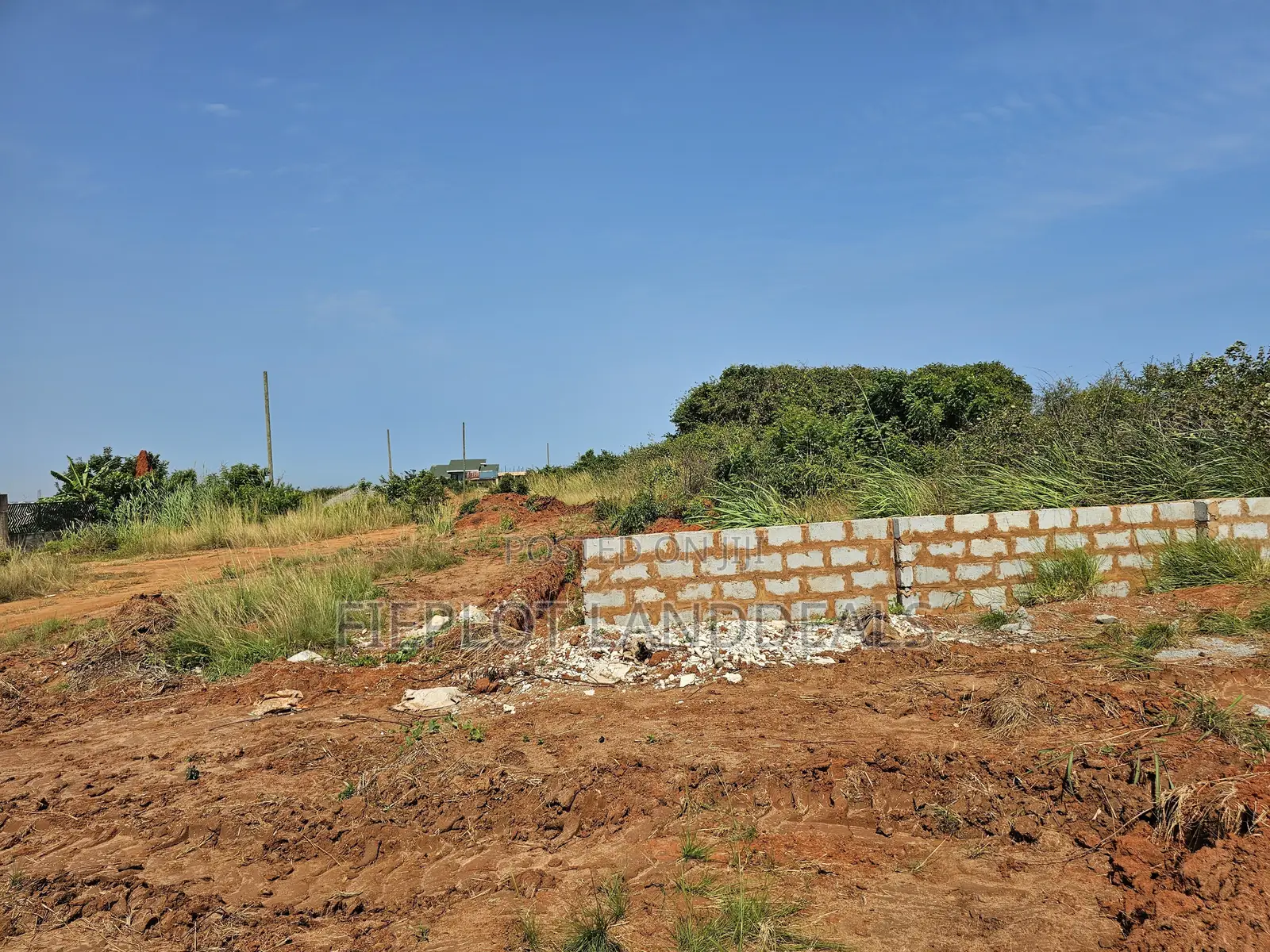Your Opportunity to Own a Full Plot at City of David