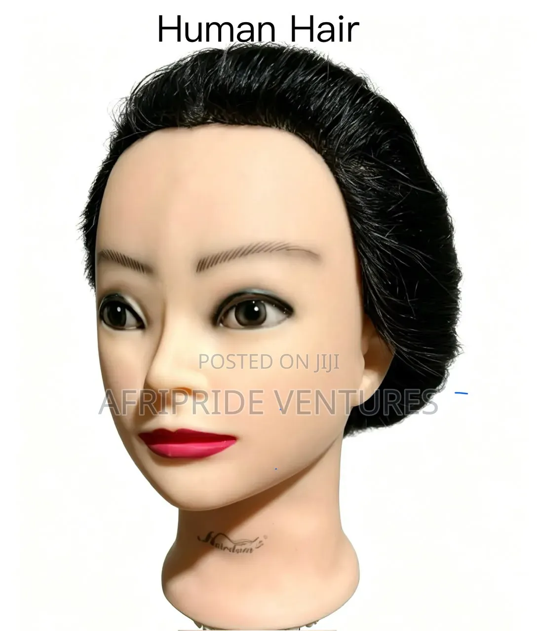 Dummy Head Complete Human Hair and Clamp