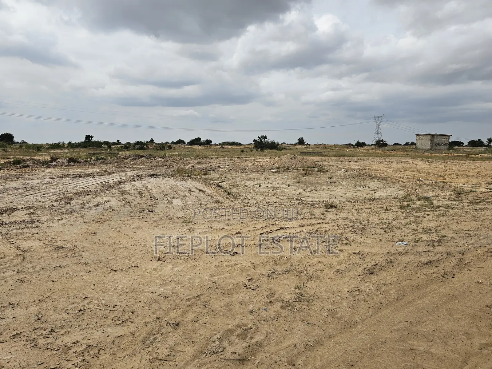 Affordable Today, Valuable Tomorrow