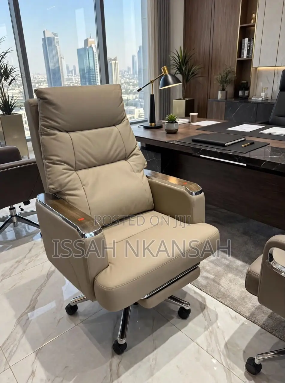DIRECTOR Executive Chair