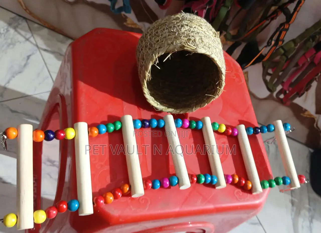 Play Toys (For All Types of Birds)