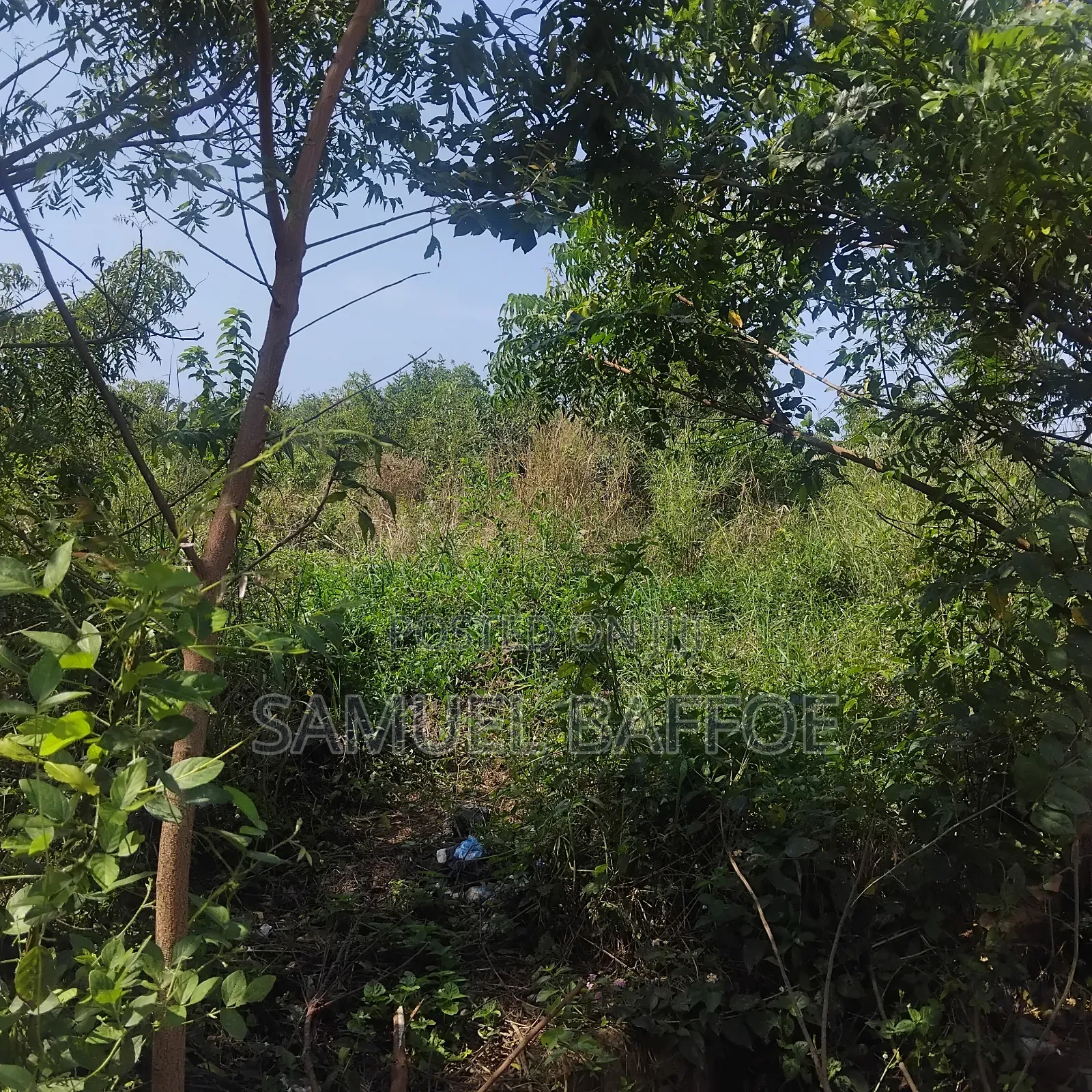 A Plot of Land