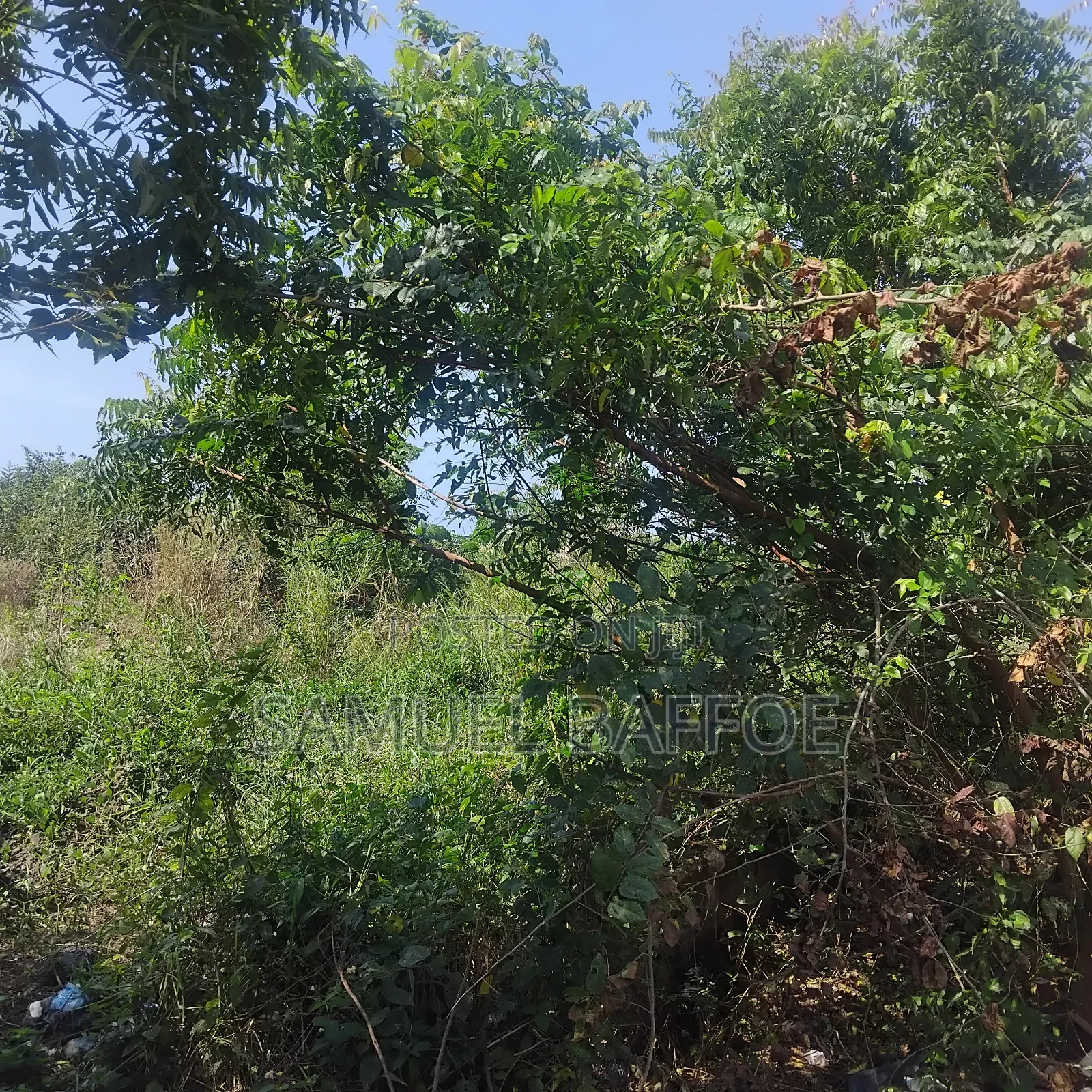 A Plot of Land