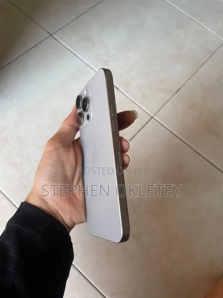 Apple iPhone 15 Pro Max 256 GB Silver