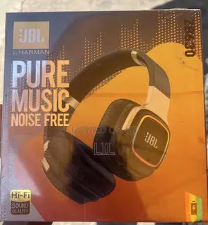 JBL ZB630 Wireless Headphones