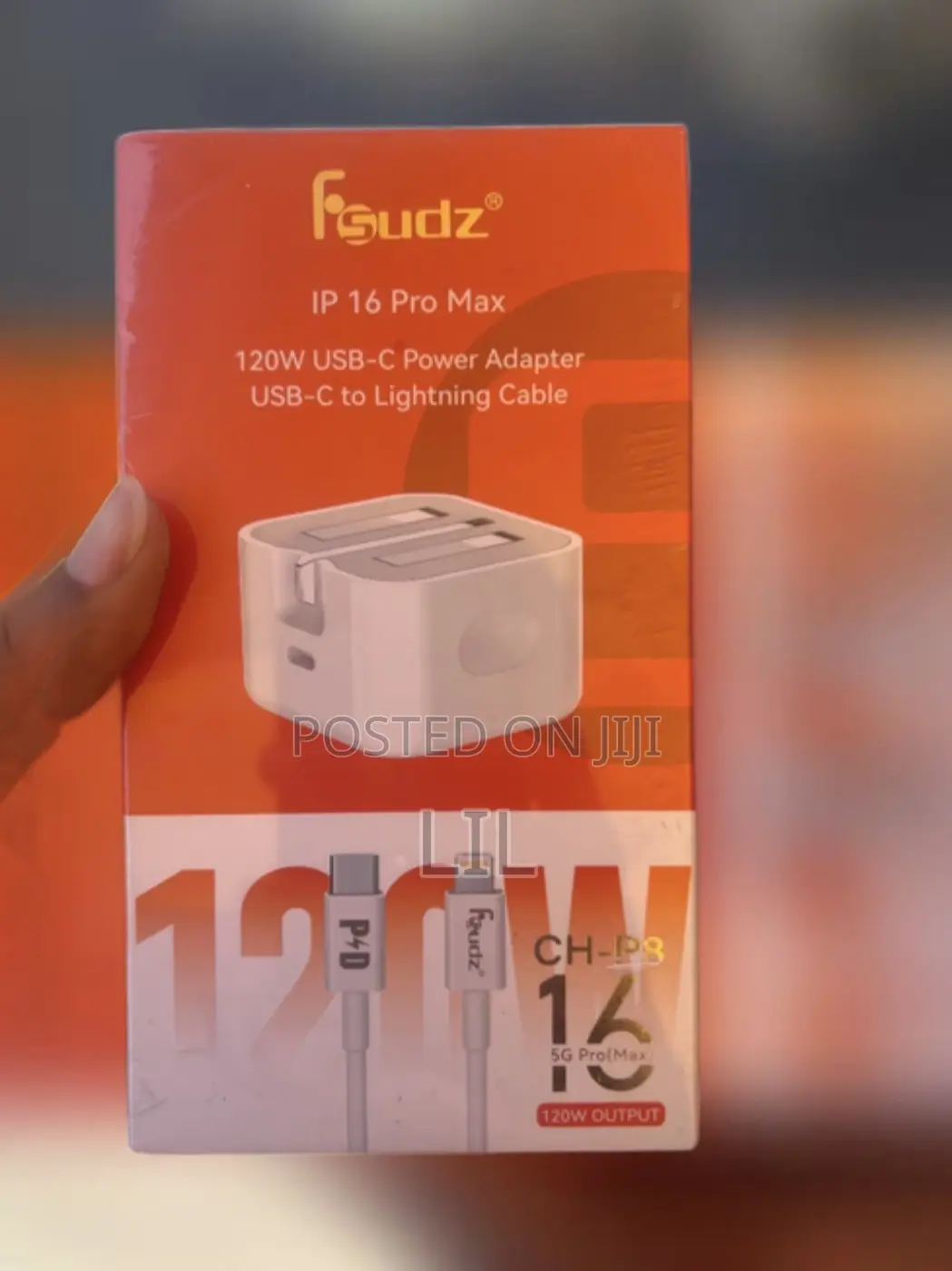 iPhone Charger