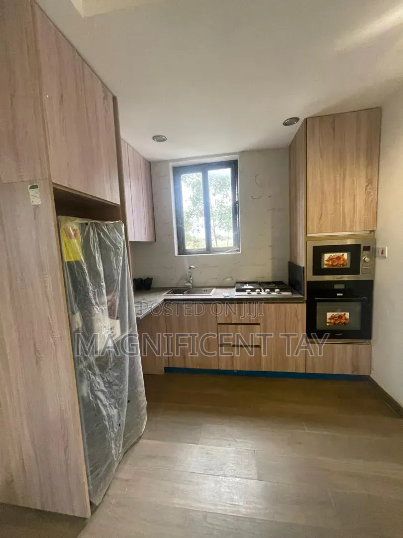 1bdrm Apartment in Magnificent, Tseaddo for rent