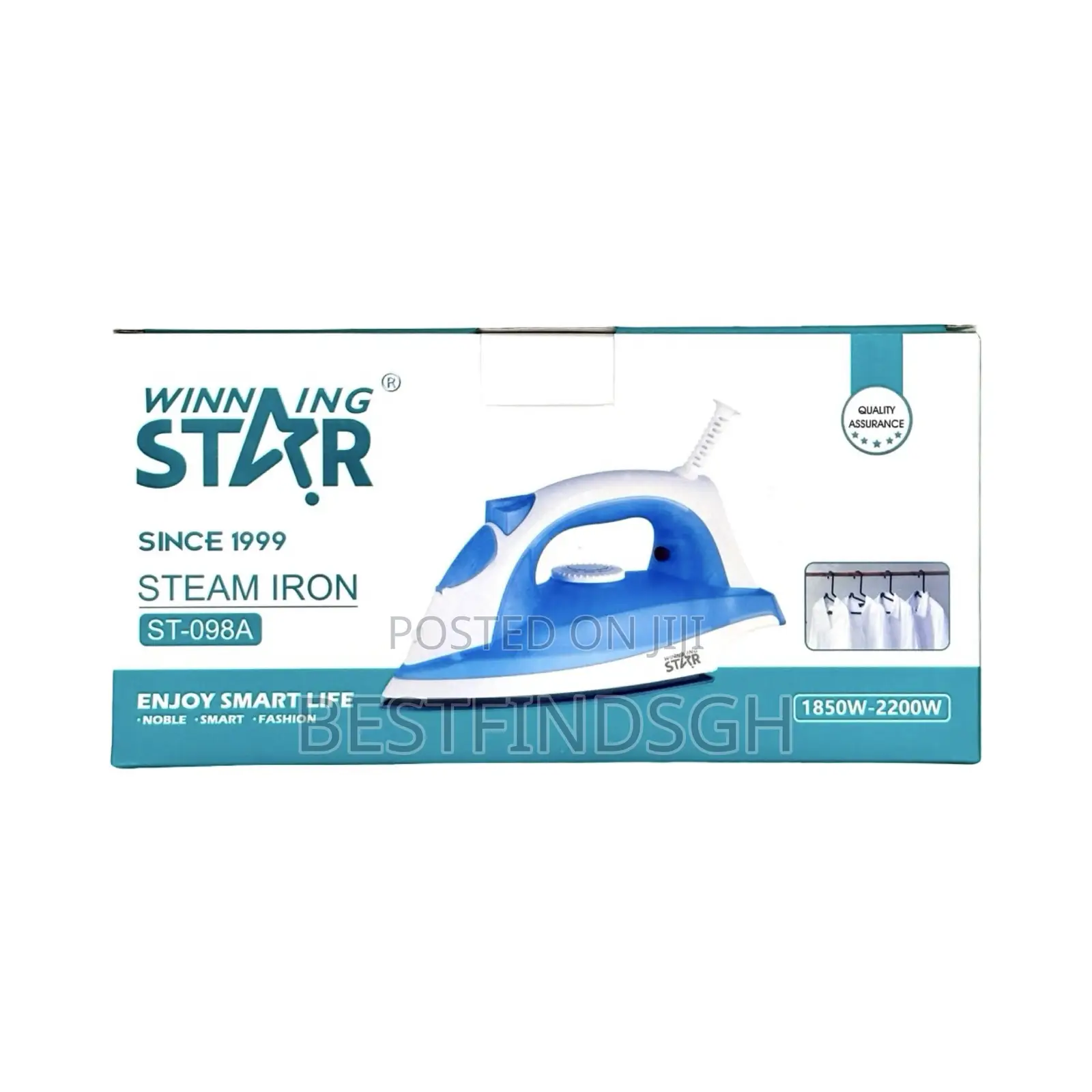 Winning Star Steam Iron