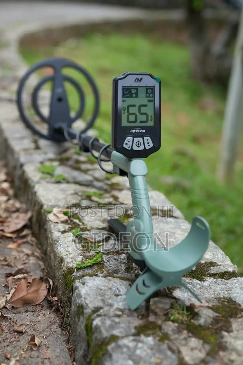 Minelab X-Terra Pro