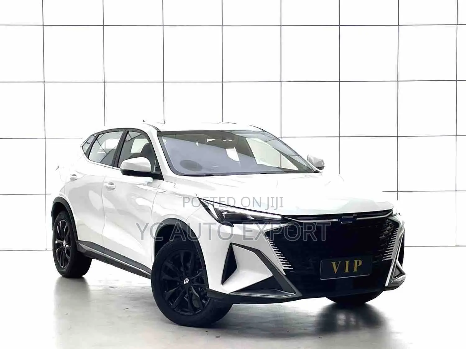 Changan Oshan X5 Changxiang Premium 2023 White