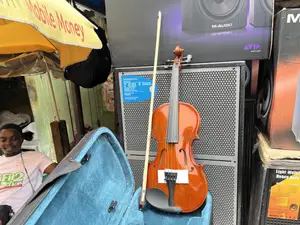 Acoustic Violin