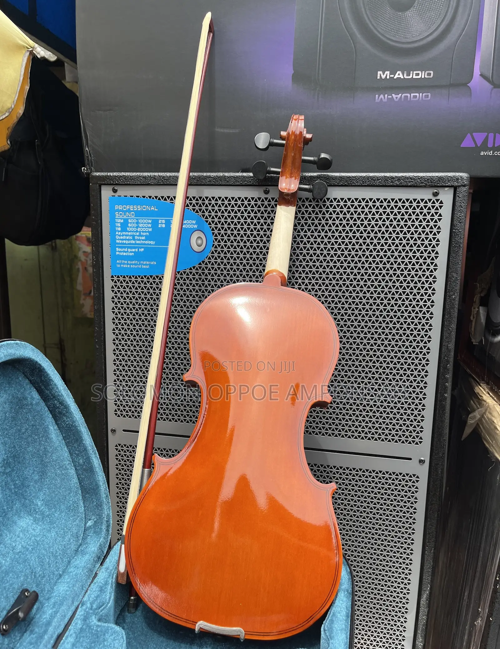 Acoustic Violin