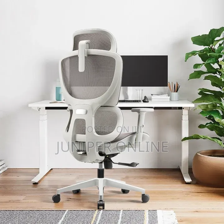 Office Chair Swivel Ashans Gaunts