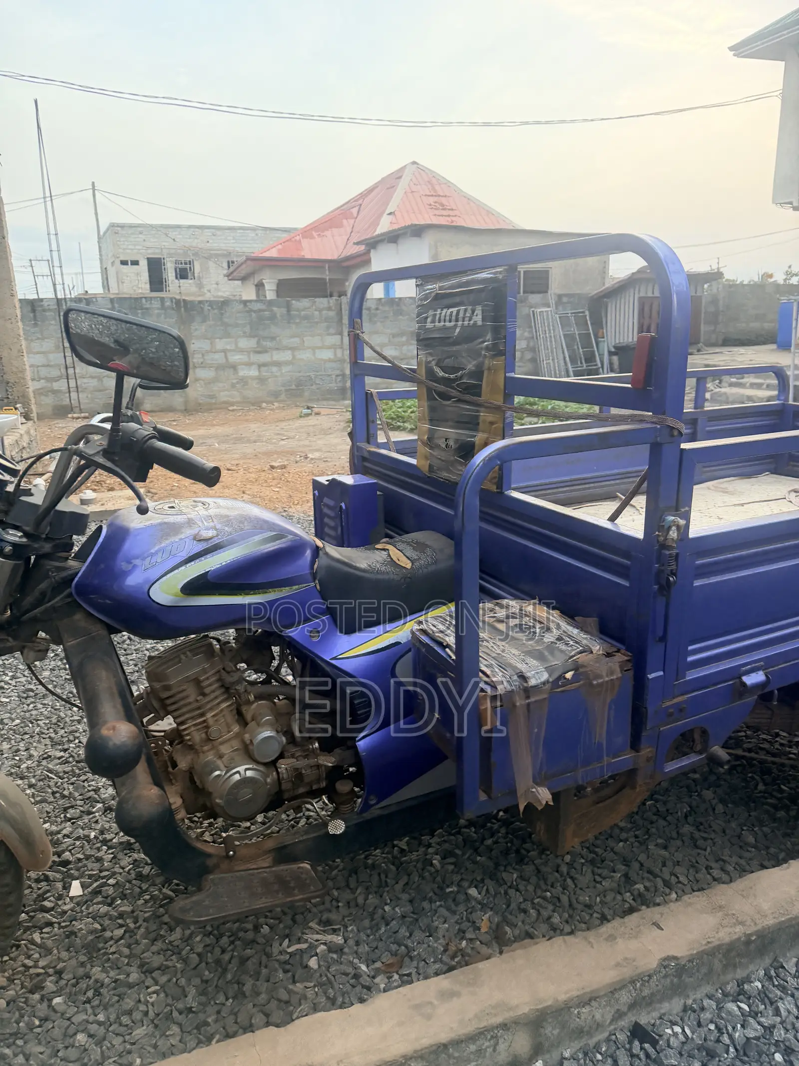 Luojia Motorized Tricycle 2024 Blue