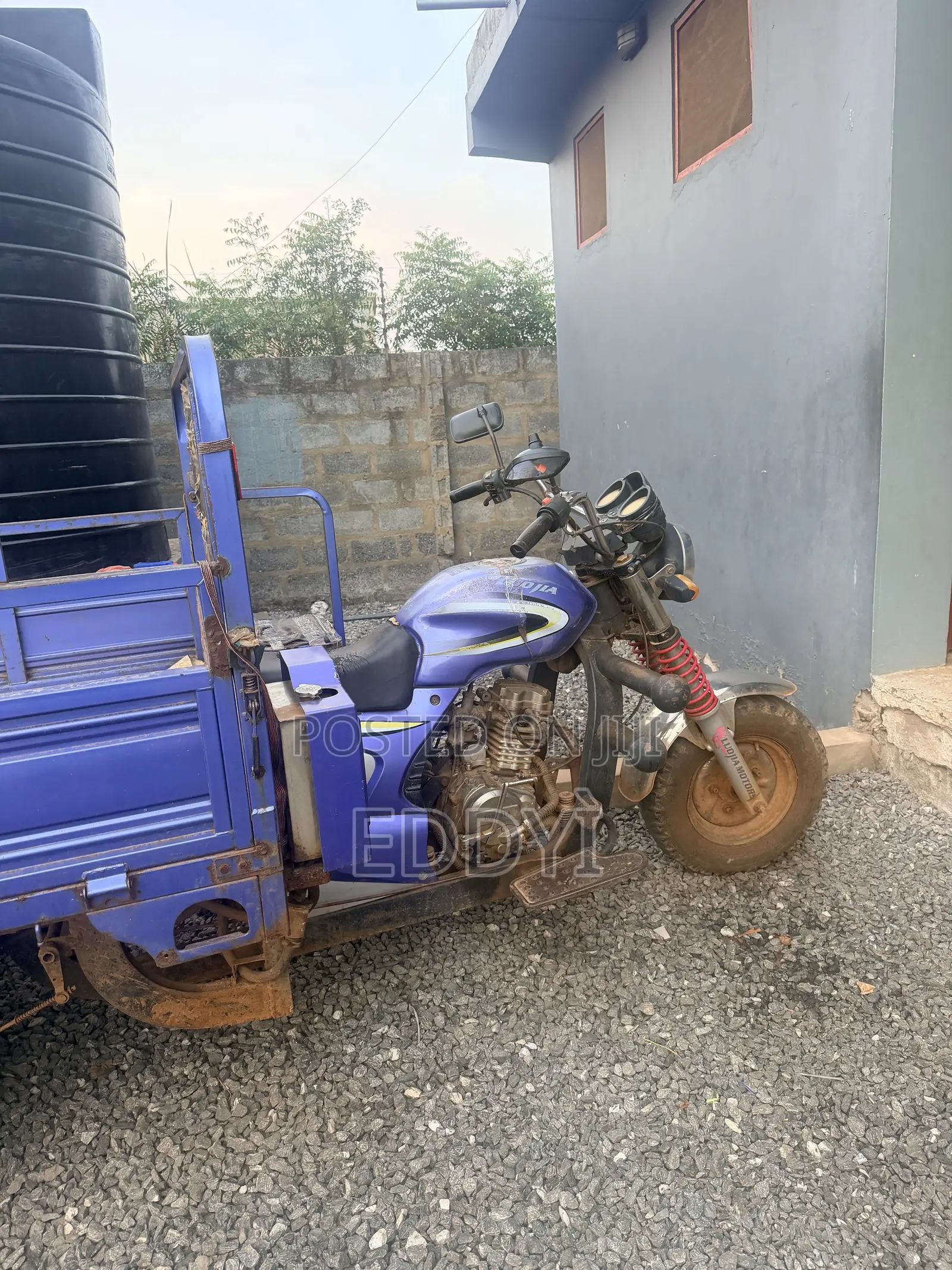 Luojia Motorized Tricycle 2024 Blue