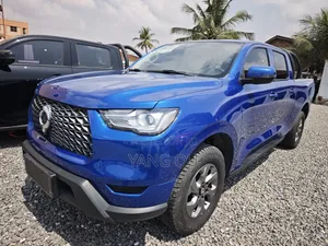 Great Wall Poer Premium 2022 Blue
