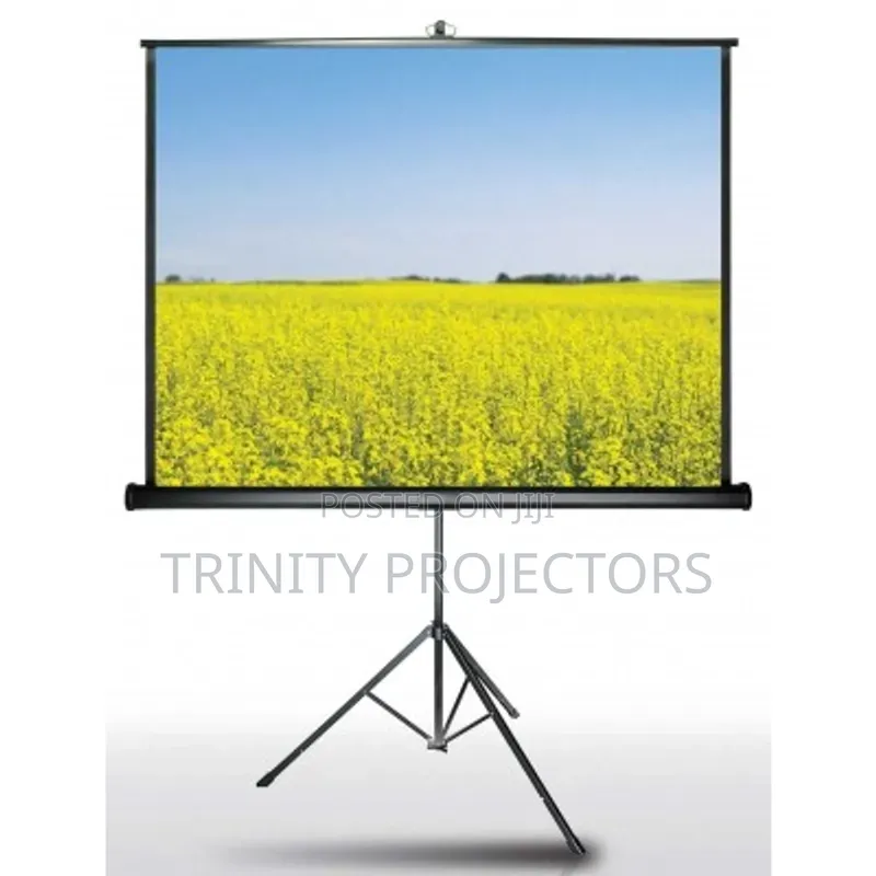 Projector and Screen for Rental