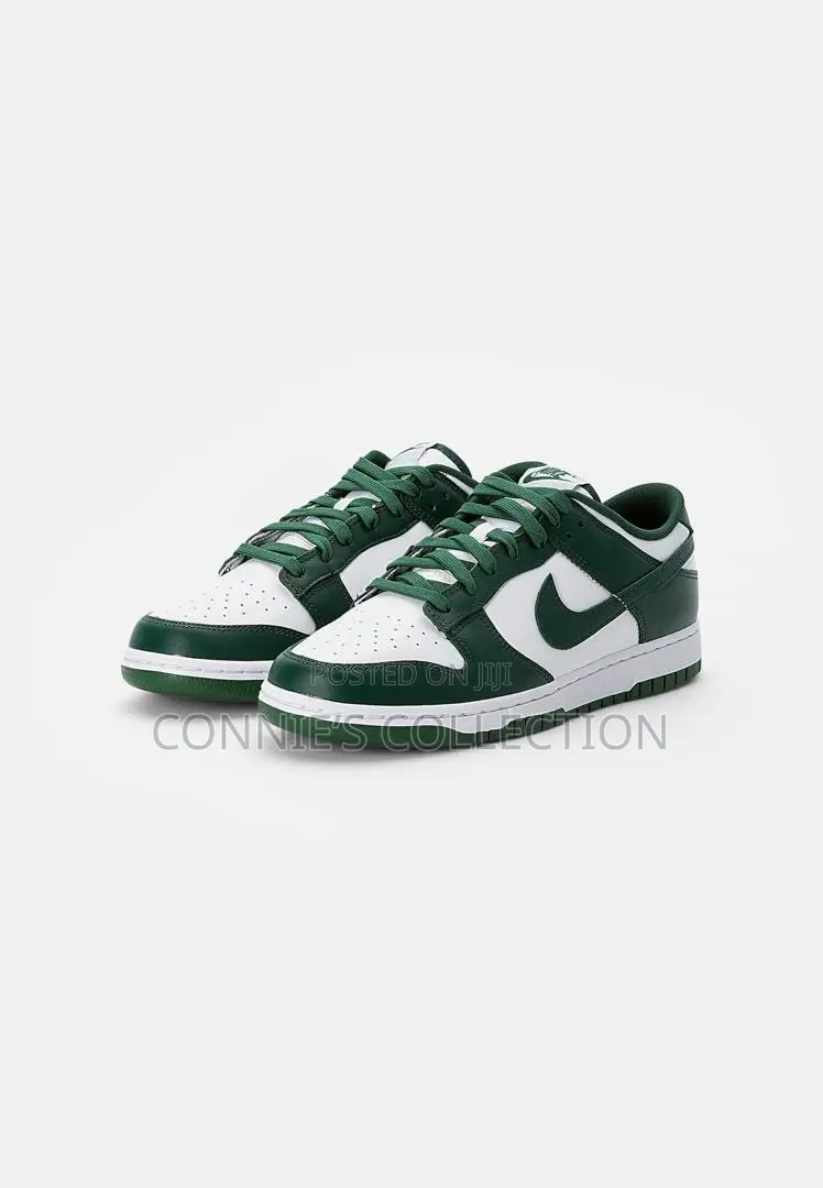 The Nike Dunk Low Retro