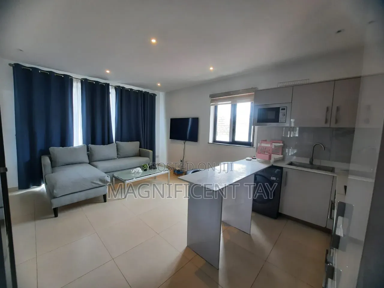 Furnished 1bdrm Apartment in Magnificent, Coffee Shop Area for rent